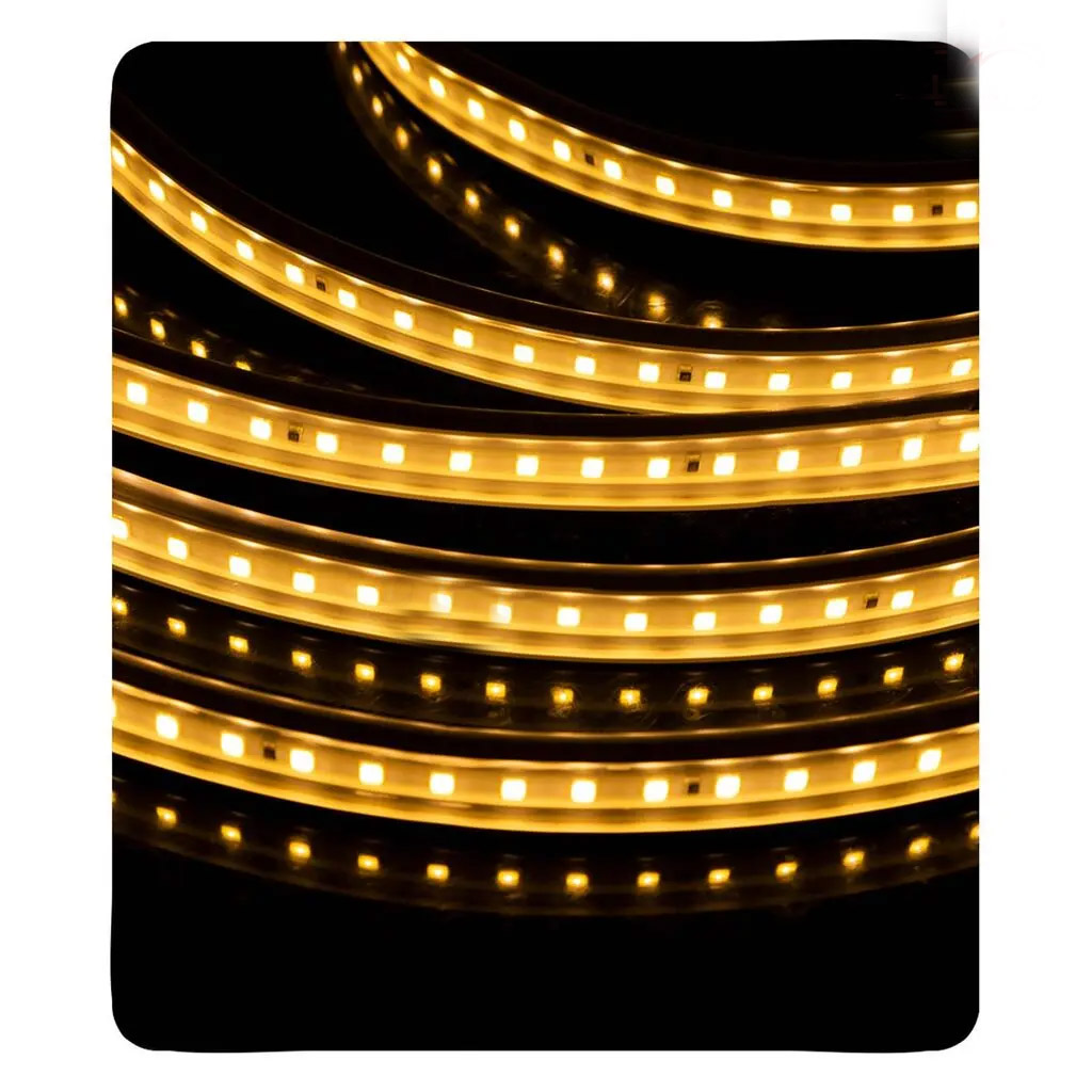 19 ریسه شلنگی