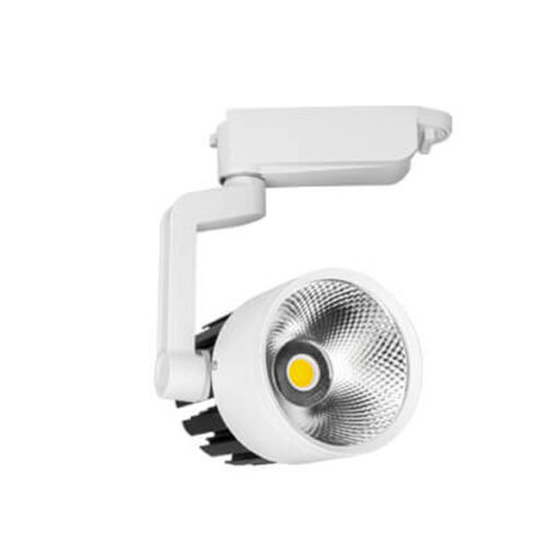 چراغ ریلی 30 وات COB پارس شعاع توس