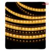 ریسه شلنگی LED تک لاین 2835 تراکم 120 شعاع مدل SH-Professional کلاف 50 متری