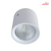 چراغ سقفی روکار 20 وات شعاع مدل SH-ML 4022