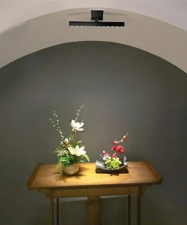 چراغ سقفی روکار