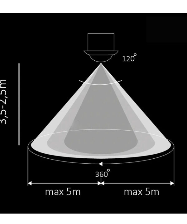 سنسور-حرکتی