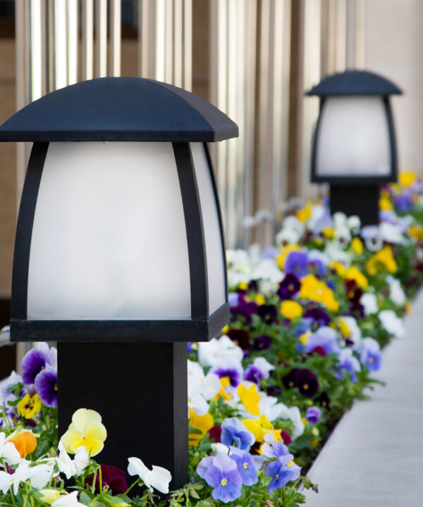 چراغ-چمنی-زمینی