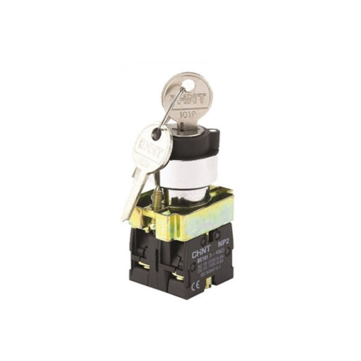 کلید فرمان یکطرفه سوئیچ دار چانت مدل NP2-BG 21